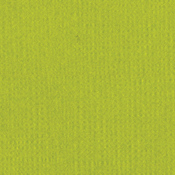 Sour Apple 12 x 12 Bazzill Cardstock