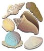 Seashells 3D  Stickers - Jolee's Boutique