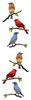 Birds - Mrs Grossman's Stickers