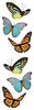 Butterflies - Mrs Grossman's Stickers