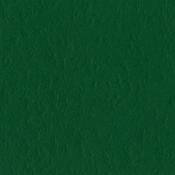 Classic Green 12x12 Mono Cardstock - Bazzill