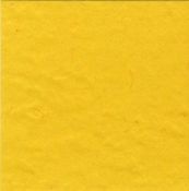 Classic Yellow 12 x 12 Bazzill Cardstock