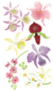 Colorful Orchids 3D  Stickers - Jolee's Boutique