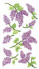 Lovely Lilacs Stickers By Jolee - EK Success