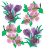 Dogwood & Crocus Flowers Stickers - Jolee's Boutique