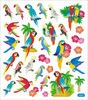 Parrots Beautiful Birds Stickers