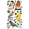 Top US Birds Stickers