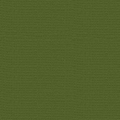 Nixon Green 12 x 12 Bazzill Cardstock