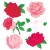 Roses Stickers - Jolees Boutique