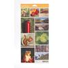 Camping Snapshots Cardstock Stickers By Pebbles