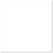 Classic White 12x12 Cardstock - Bazzill