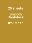 Gold Coins 8.5 x 11 Cardstock - Bazzill Card Shoppe, 25 pack