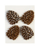 Glittered Edge Pine Cones - Dimensional Stickers - Jolees