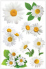 Oxeye Daisy 3D Stickers - Paperhouse
