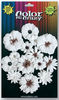 Medium & Mini Darjeeling Flowers Color Me Crazy - Petaloo