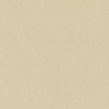 Taffy Card Shoppe 12 x 12 Bazzill Cardstock