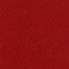 Peppermint  Card Shoppe 12 x 12 Bazzill Cardstock