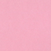 Cotton Candy Card Shoppe 12 x 12 Bazzill Cardstock