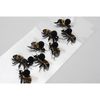 Bees Mini Stickers - Little B