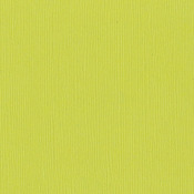 Granny Smith 12 x 12 Cardstock - Bazzill