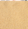 Shades Of Sand Paper #2 - Ella & Viv