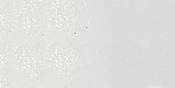 White Opaque - Stampendous Detail Embossing Powder .5oz