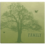 Family Tree Post Bound Scrapbook 12"X12"