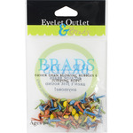 Fall Round Brads - Eyelet Outlet