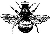 Queen Bee - Donna Salazar Cling Stamp