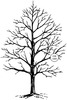 Winter Tree - Judikins Rubber Stamp
