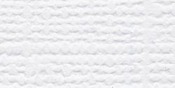 Avalanche/Grass Cloth Cardstock 8.5"X11" - Bazzill