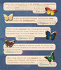 Bible Quotes Sticker Medley