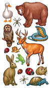 Forest Animals Classic Stickers - Sticko Stickers