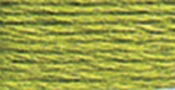 Very Light Avocado Green - DMC Six Strand Embroidery Cotton 8.7 Yards