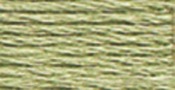 Light Fern Green - DMC Six Strand Embroidery Cotton 8.7 Yards