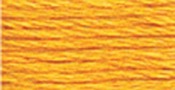 Light Tangerine - DMC Six Strand Embroidery Cotton 8.7 Yards