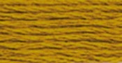 Very Dark Topaz - DMC Six Strand Embroidery Cotton 8.7 Yards