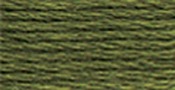 Dark Green Grey - DMC Six Strand Embroidery Cotton 8.7 Yards