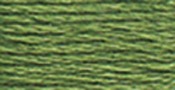 Medium Pine Green - DMC Six Strand Embroidery Cotton 8.7 Yards