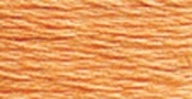 Pale Pumpkin - DMC Six Strand Embroidery Cotton 8.7 Yards