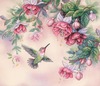 Hummingbird & Fuchsias Stamped Cross Stitch Kit
