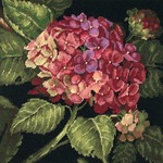 14"X14" Stitched In Wool - Hydrangea Bloom Needlepoint Kit