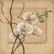 12"X12" 14 Count - Oriental Orchids Counted Cross Stitch Kit