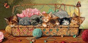 18"X9" 18 Count - Gold Collection Kitty Litter Counted Cross Stitch Kit