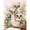 11"X14" 14 Count - Owl Trio Counted Cross Stitch Kit