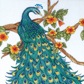 14"X14" 14 Count - Peacock Counted Cross Stitch Kit