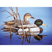 Blue Water Mallards - Adult Paint By Number Kit 15-3/8"X11-1/4"