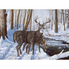 Winter Bliss - Adult Paint By Number Kit 15-3/8"X11-1/4"