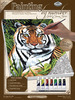 Tiger In Hiding - Paint By Number Kits 9"X12"