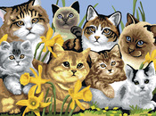 Cats Montage - Junior Large Paint By Number Kit 15.25"X11.25"